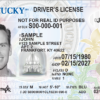Transition of driver licensing services nearing in eight counties